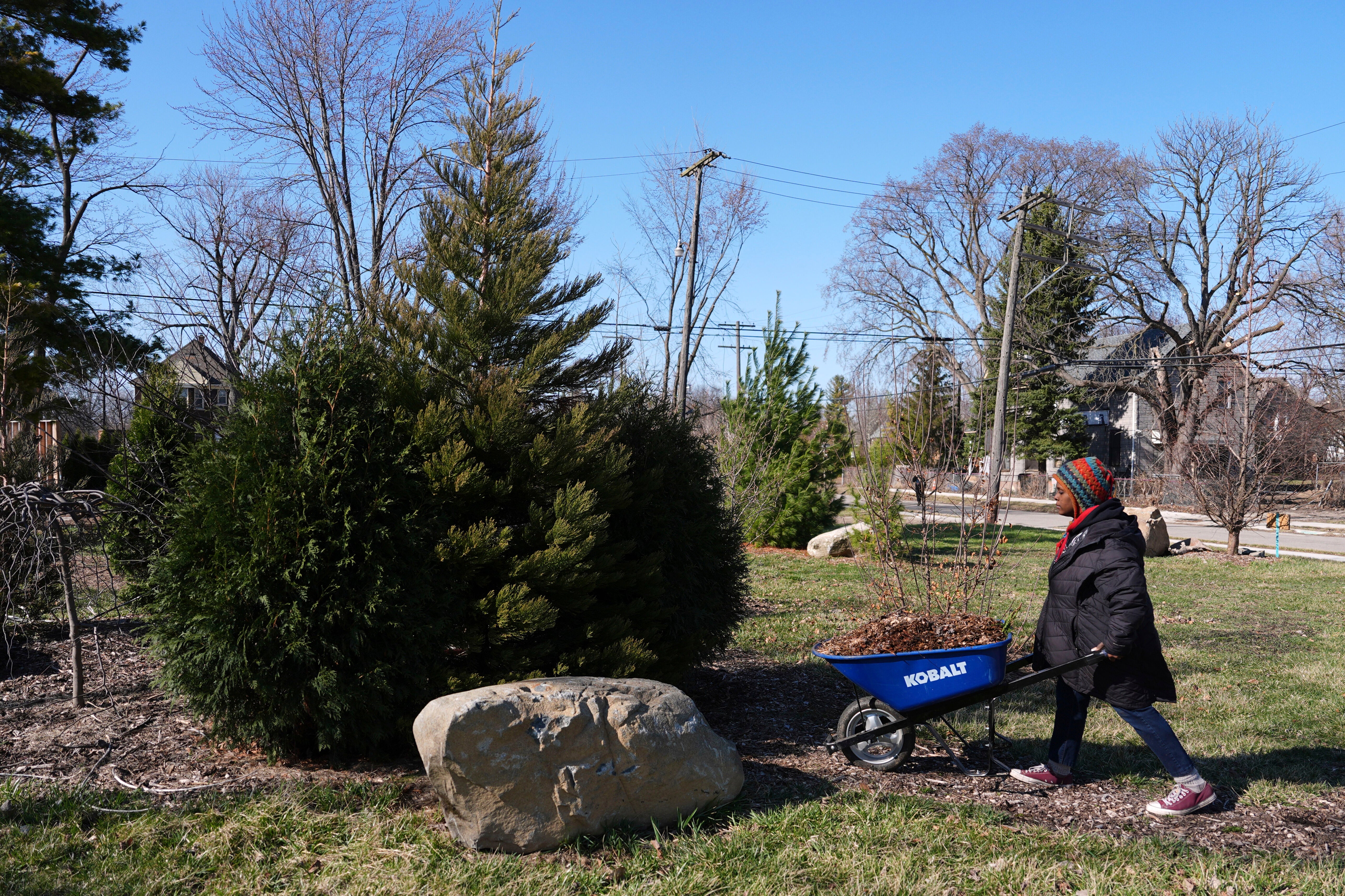Plantan secuoyas en Detroit para mejorar el aire y celebrar el Día de la Tierra