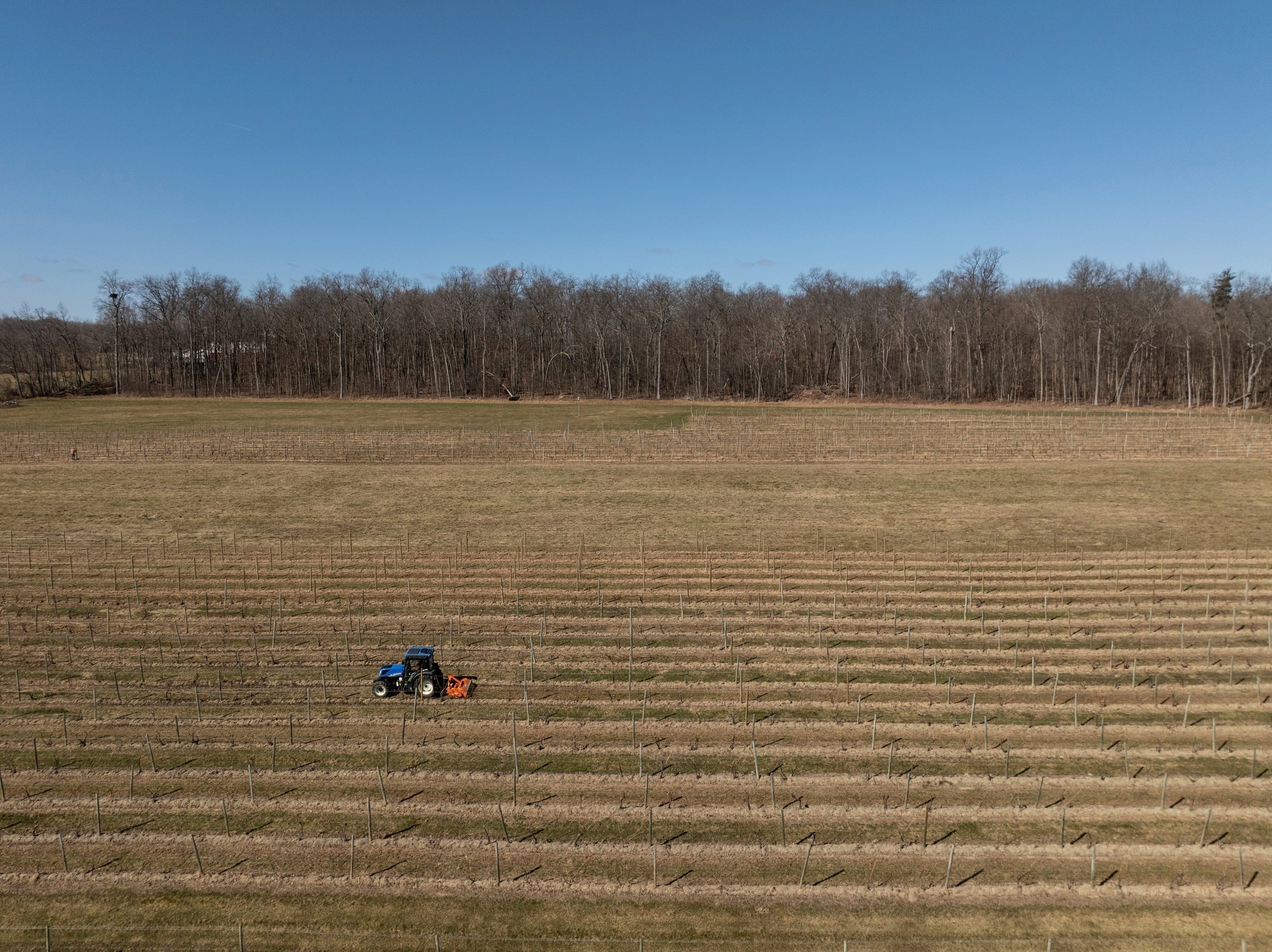 EEUU-VINICULTORES-CAMBIO CLIMÁTICO