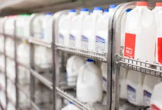 ¿Leche entera o descremada? La ciencia responde cuál es mejor para la salud cardíaca