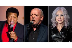 Chubby Checker, Joe Cocker, Soundgarden, Cyndi Lauper y Outkast entran al Salón de la Fama del Rock