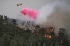 Incendio forestal cierra principal carretera entre Tel Aviv y Jerusalén y deja 12 hospitalizados