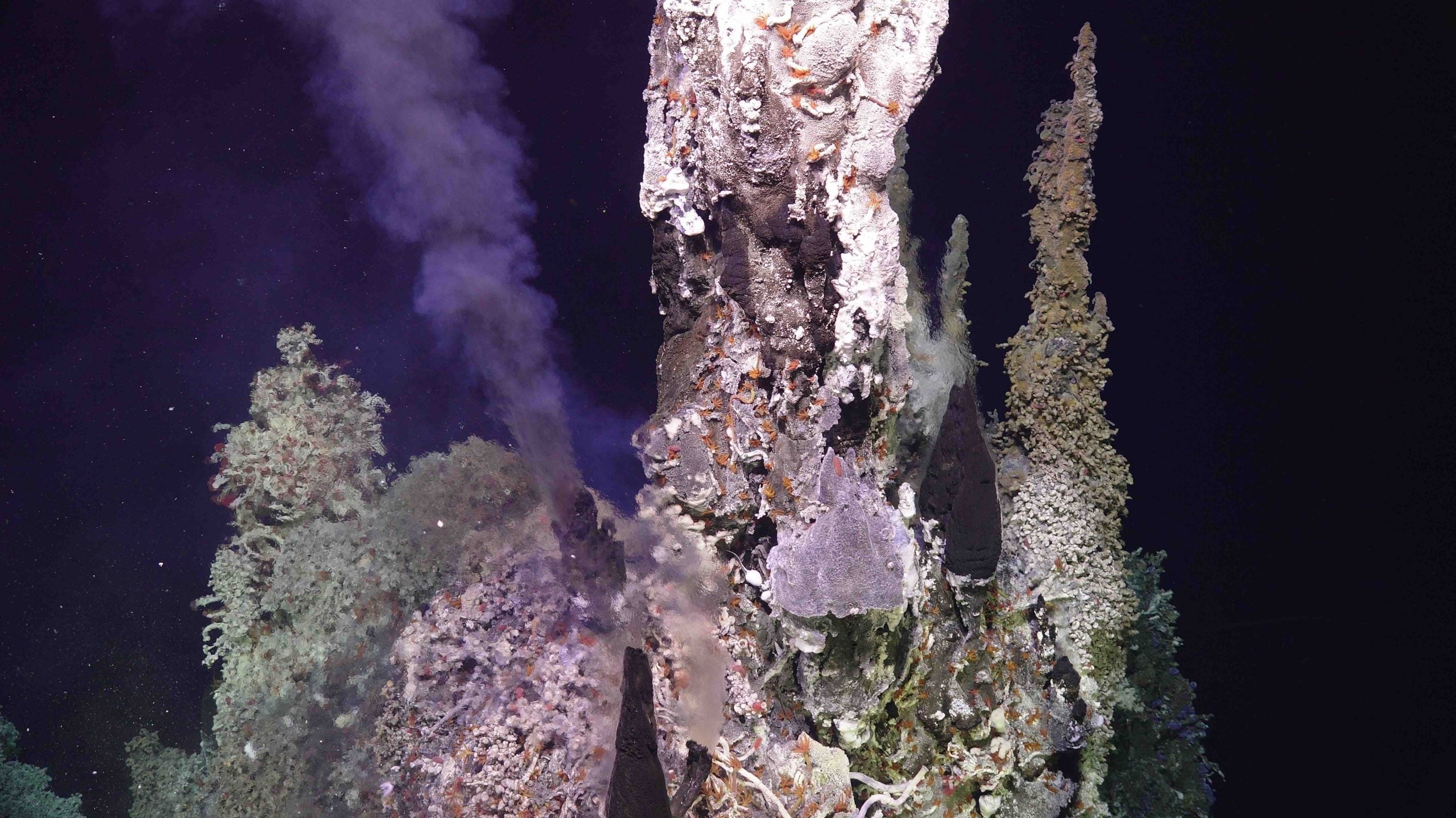 Según los científicos, el monte submarino Axial está cerca de hacer erupción. La incógnita es: ¿cuándo ocurrirá?