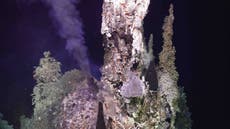 Alerta por posible erupción de volcán submarino frente a la costa de Oregón
