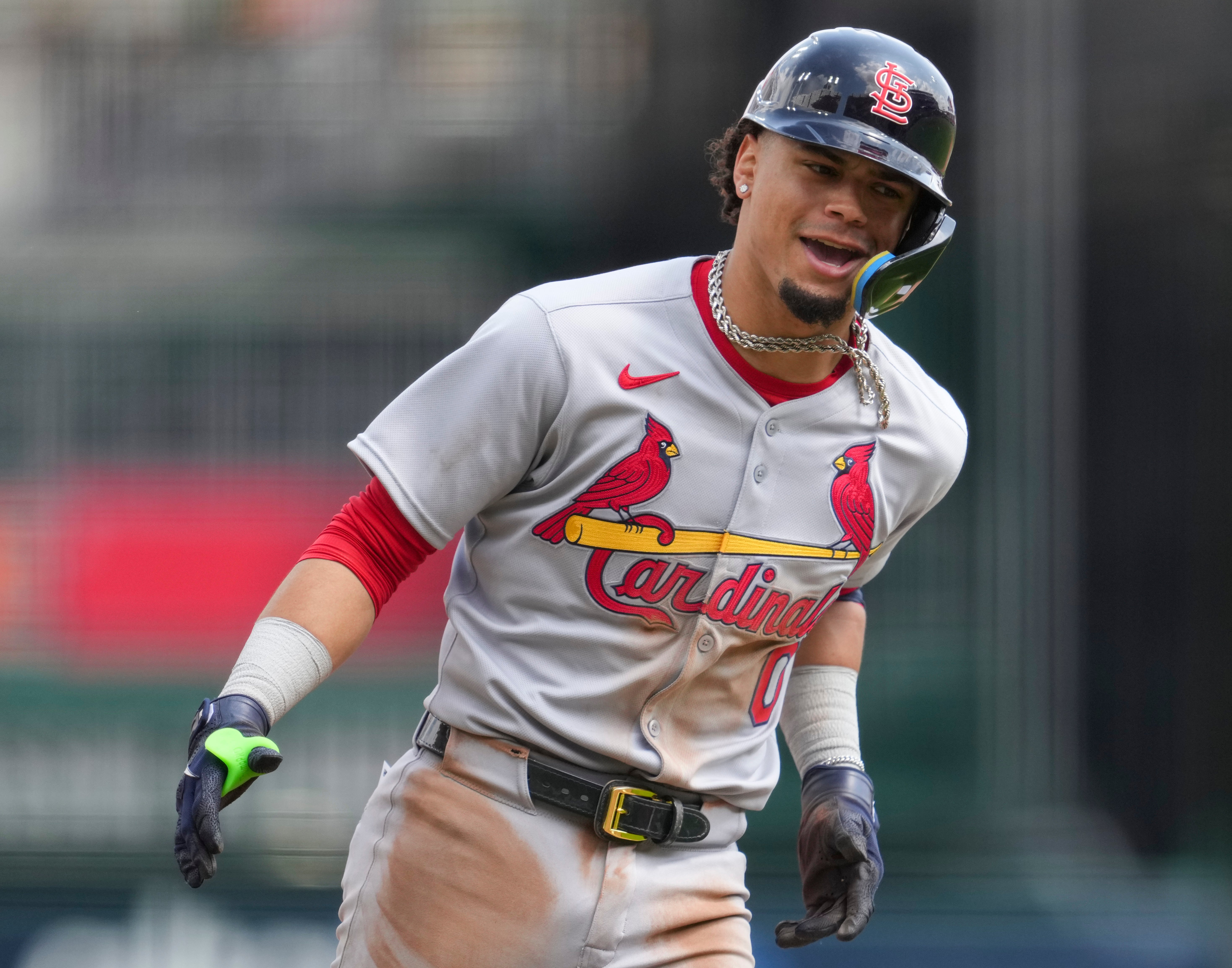 CARDENALES ROJAS