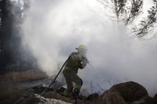 Varios países envían aviones a Israel para ayudar a combatir un gran incendio forestal