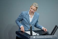 La inteligencia alemana clasifica a Alternativa para Alemania como partido de extrema derecha