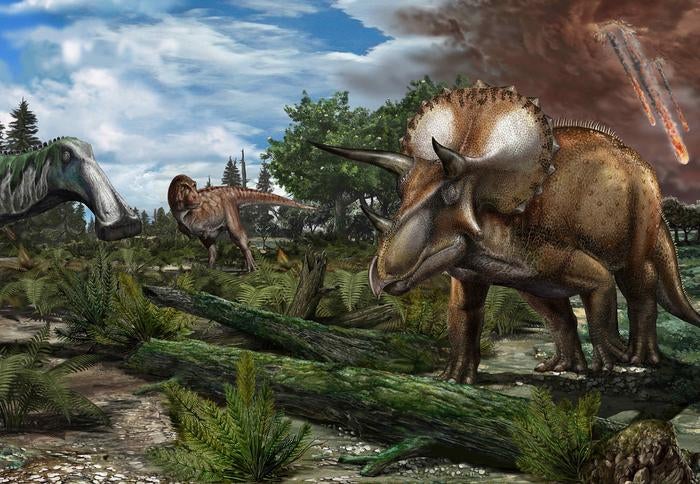 Si el asteroide de Chicxulub no hubiera impactado hace 66 millones de años, los dinosaurios podrían seguir vagando por el planeta. Investigadores afirman que su análisis de fósiles demuestra que las poblaciones de dinosaurios no estaban en declive antes de la extinción masiva.