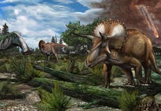 Los dinosaurios podrían existir hoy si no fuera por el asteroide