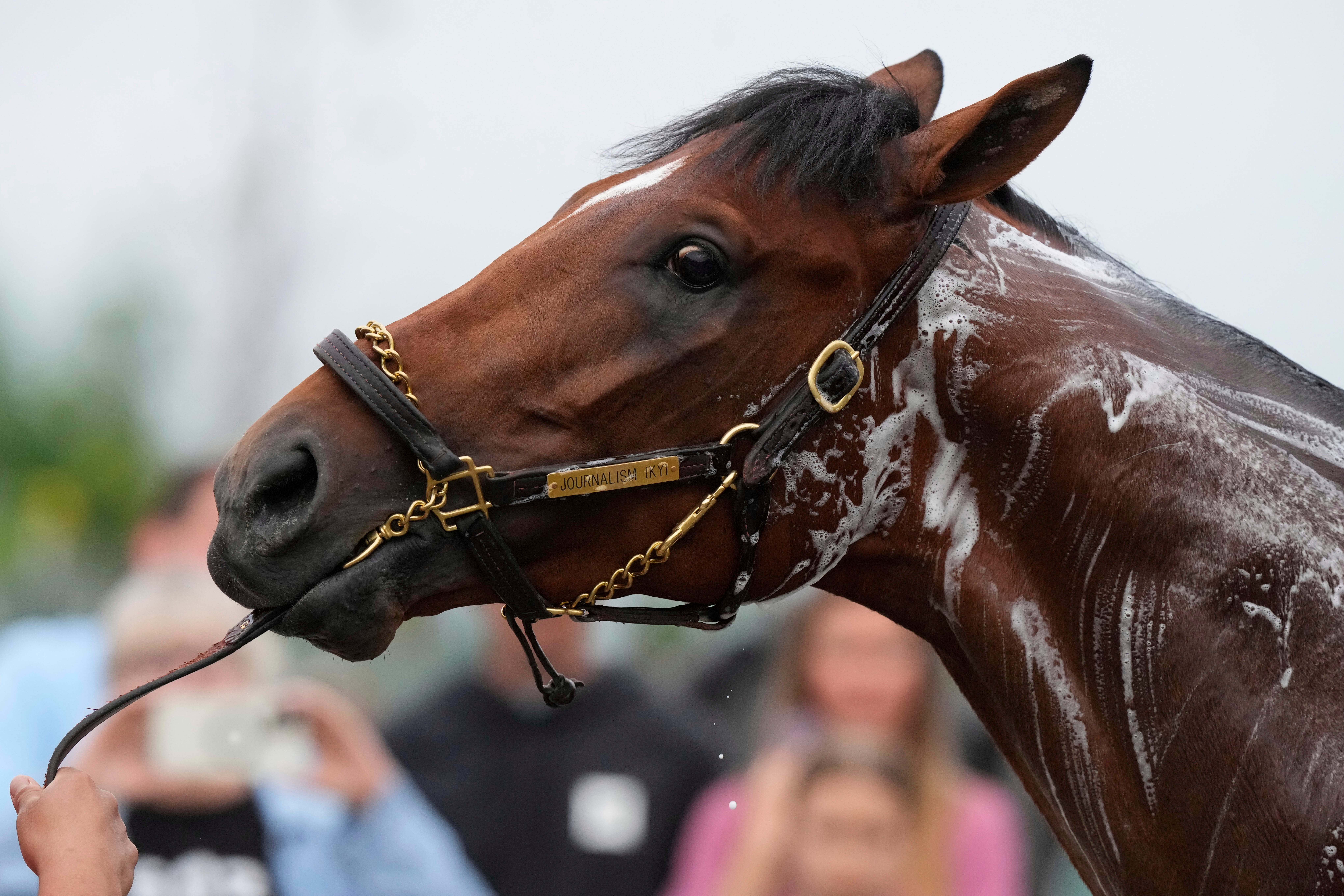 KENTUCKY DERBY
