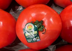 En medio de celebraciones por el 5 de Mayo, se avecina un arancel de EEUU sobre tomates mexicanos