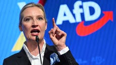 Alternativa para Alemania demanda tras ser designada como extremista por agencia de espionaje