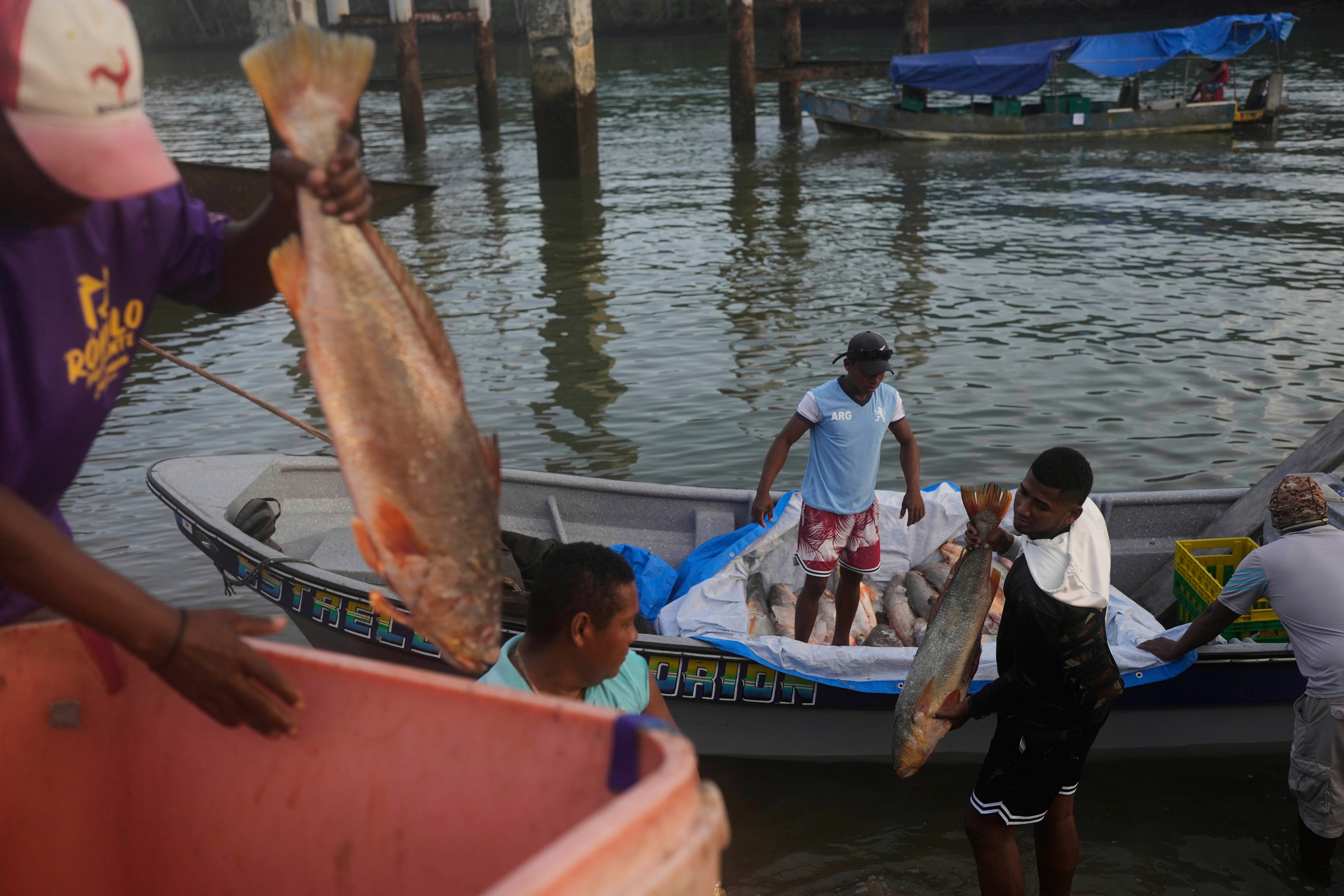 PANAMÁ-MIGRACIÓN-IMPACTO AMBIENTAL