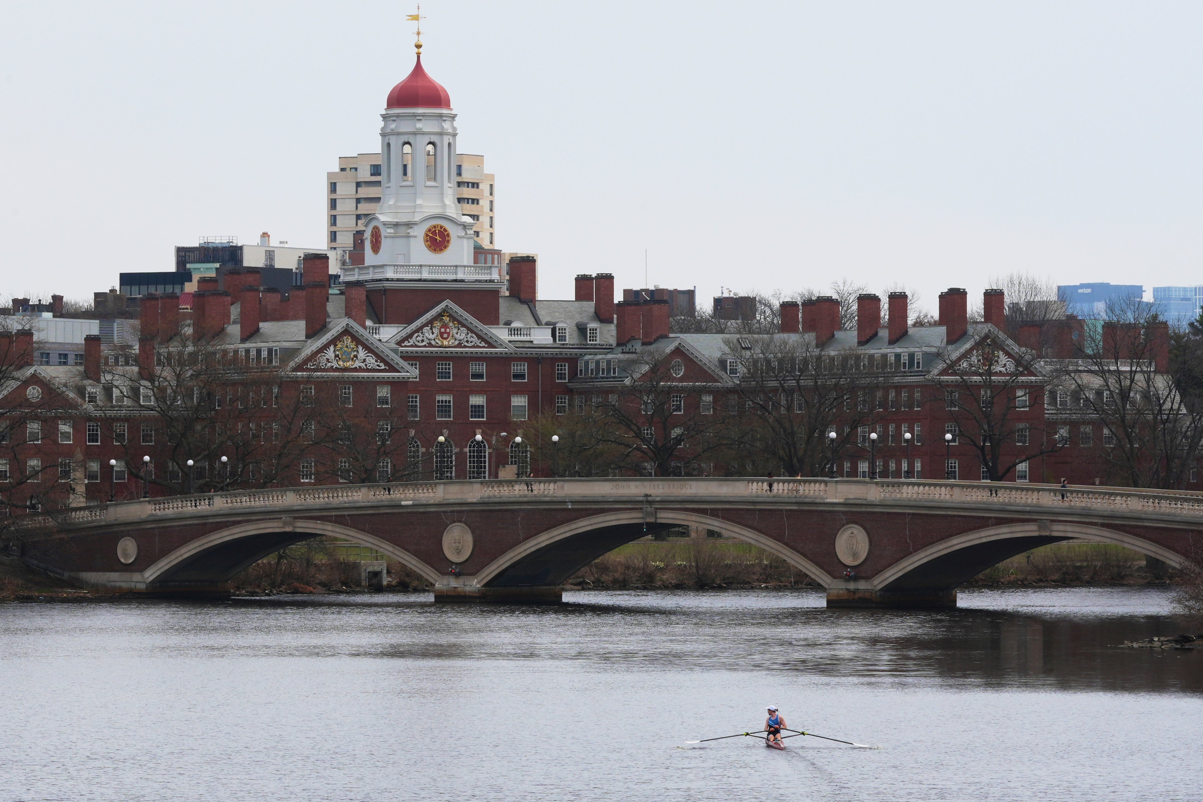 TRUMP-HARVARD