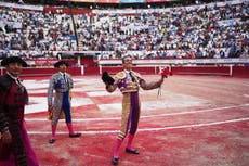 Taurinos sienten que restringir corridas de toros en México daña una tradición sagrada