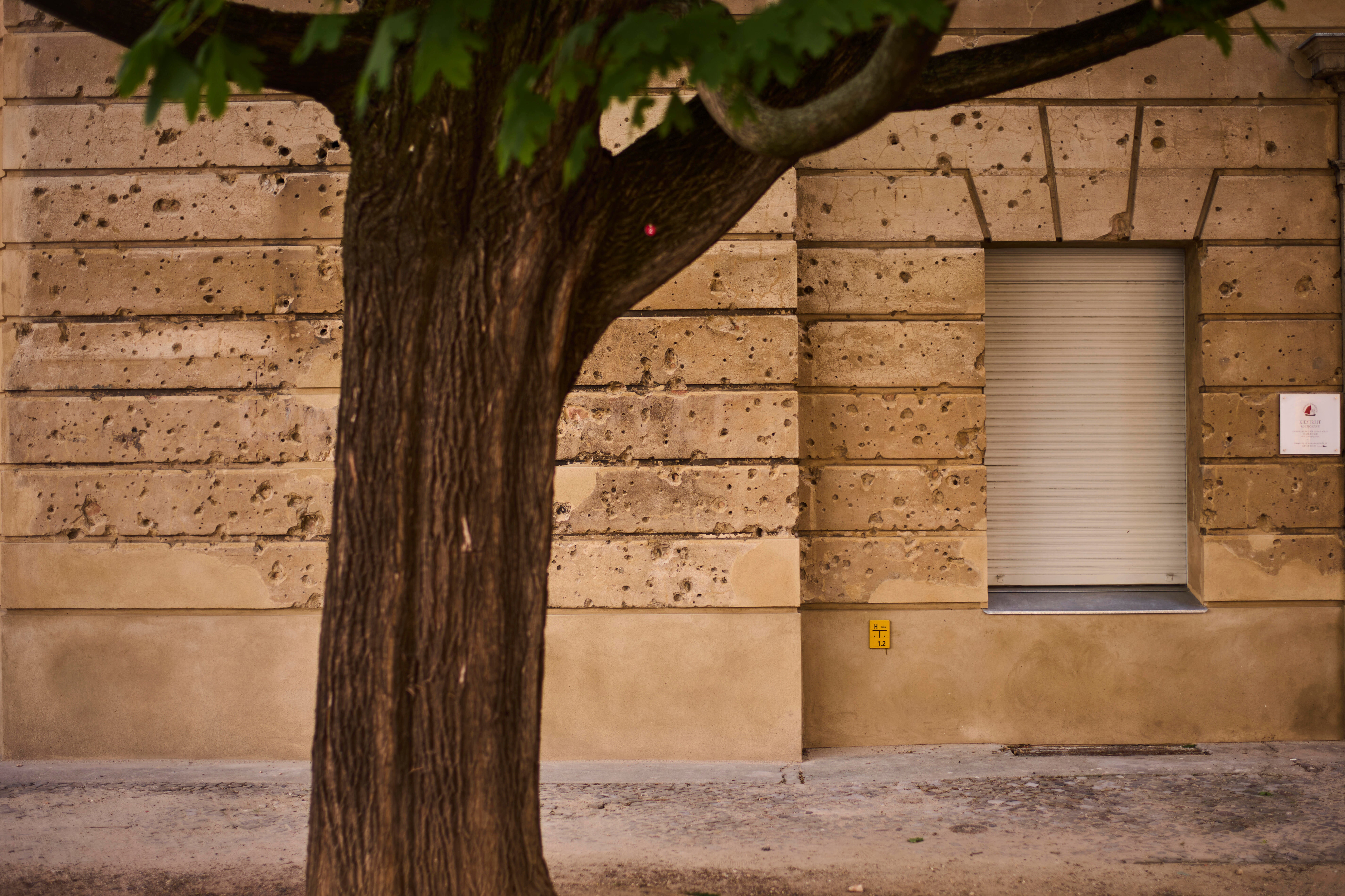 BERLÍN-TRANSFORMACIÓN