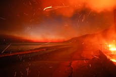 Humo de incendios forestales por cambio climático causa miles de muertes en EEUU, según estudio