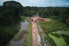 Ambientalistas critican construcción de carretera en la Amazonía de Brasil