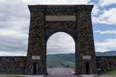 Un bisonte cornea a un turista de Florida en Yellowstone