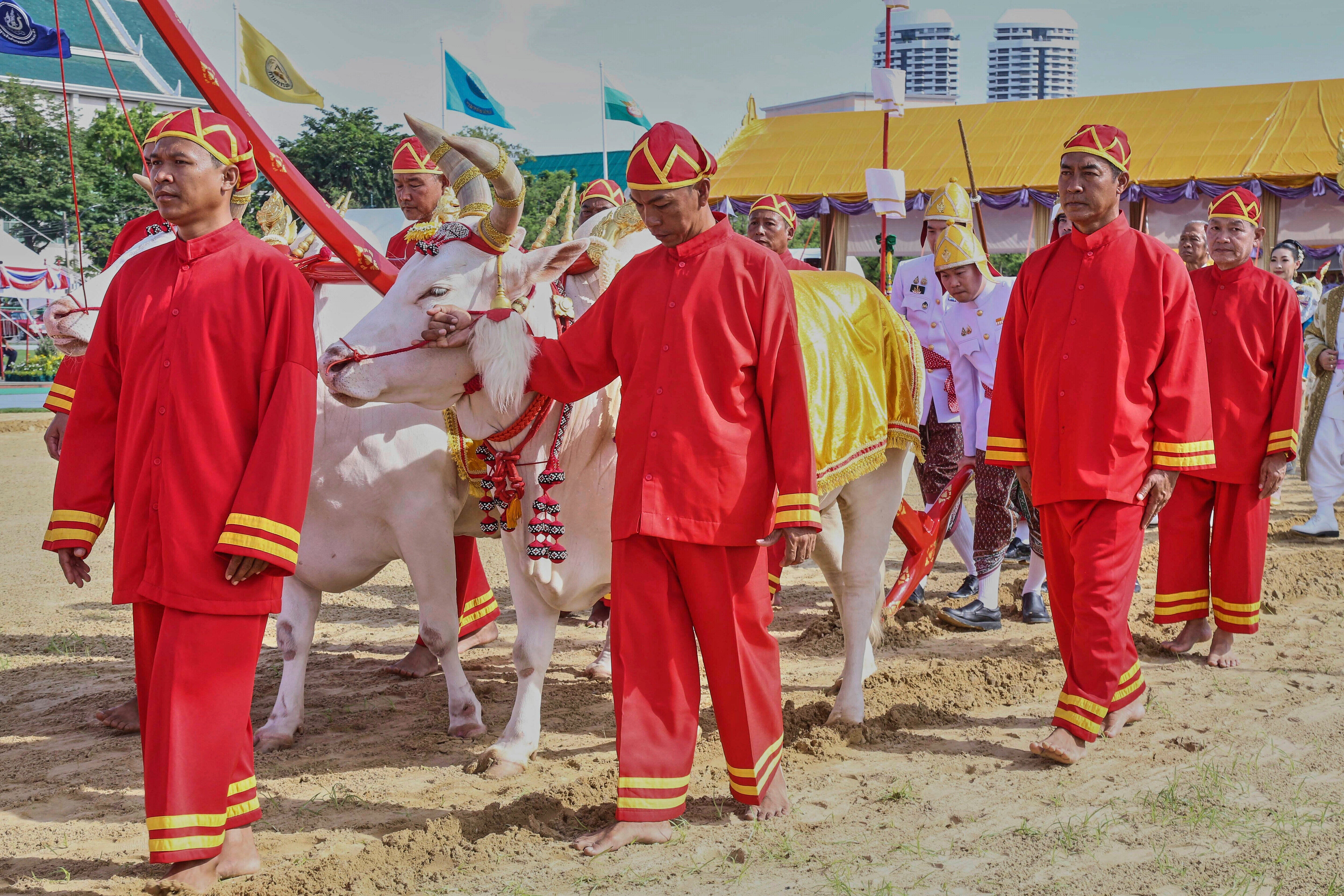 ASI-GEN TAILANDIA-CEREMONIA SIEMBRA