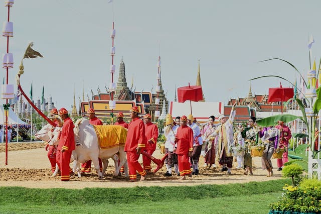 ASI-GEN TAILANDIA-CEREMONIA SIEMBRA