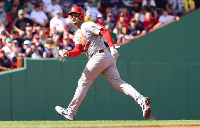 CARDENALES HERRERA