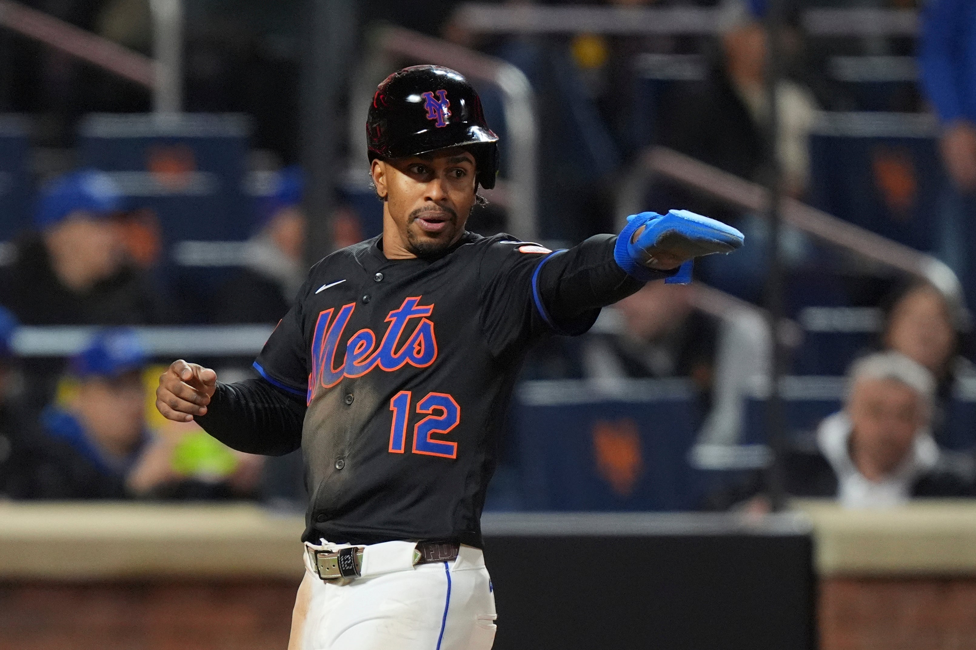 CACHORROS-METS