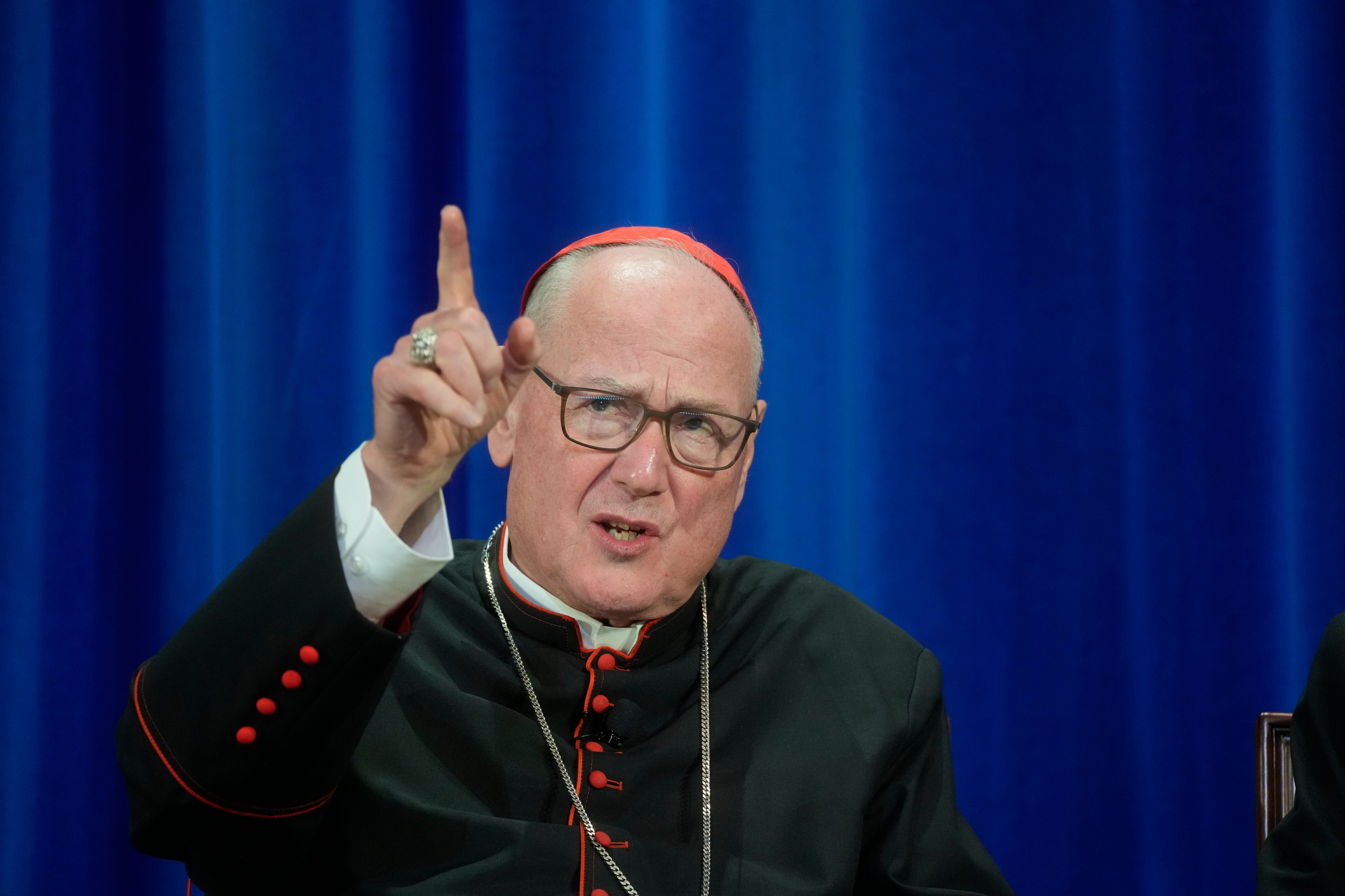 PAPA-CARDENALES ESTADOUNIDENSES