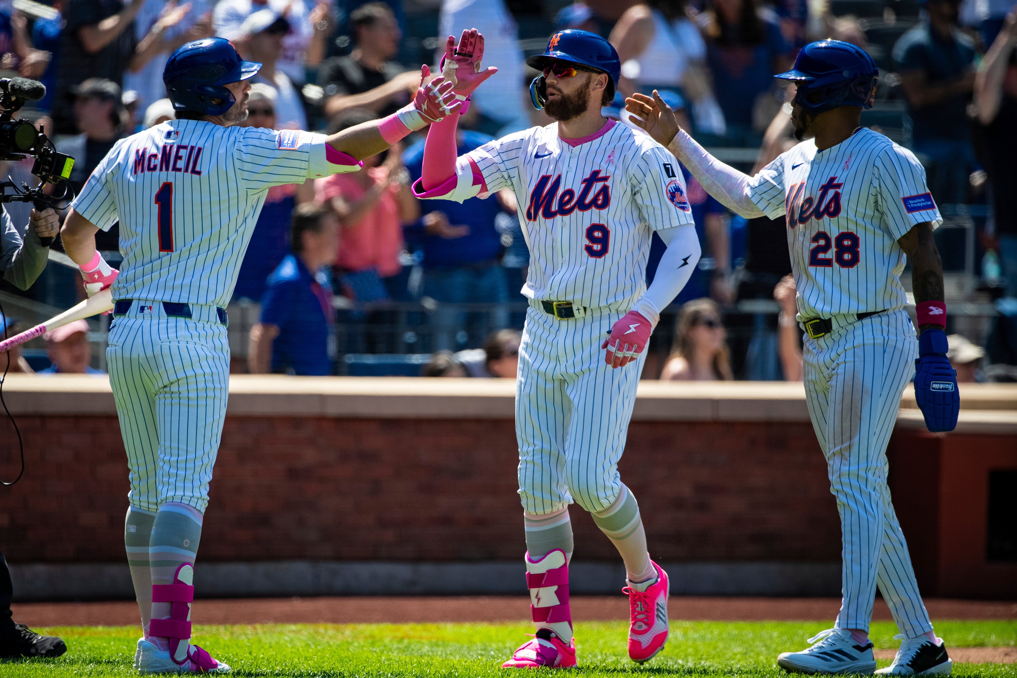 CACHORROS-METS