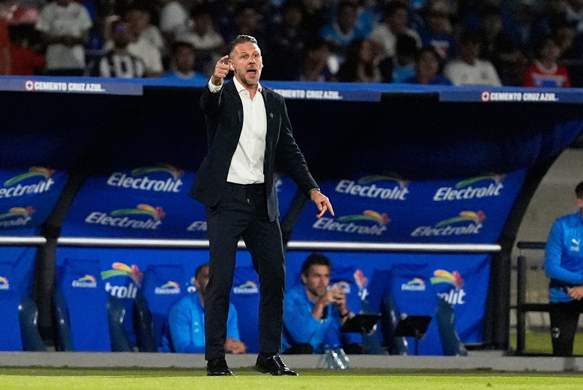 MARTÍN DEMICHELIS