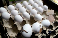Precios de huevos en EEUU bajan por primera vez en meses, pero siguen cerca de máximos históricos