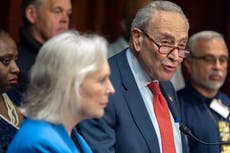 Demócratas profundamente pesimistas sobre futuro de su partido, según encuesta AP-NORC