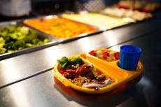 Comidas únicas que piden los niños para el almuerzo