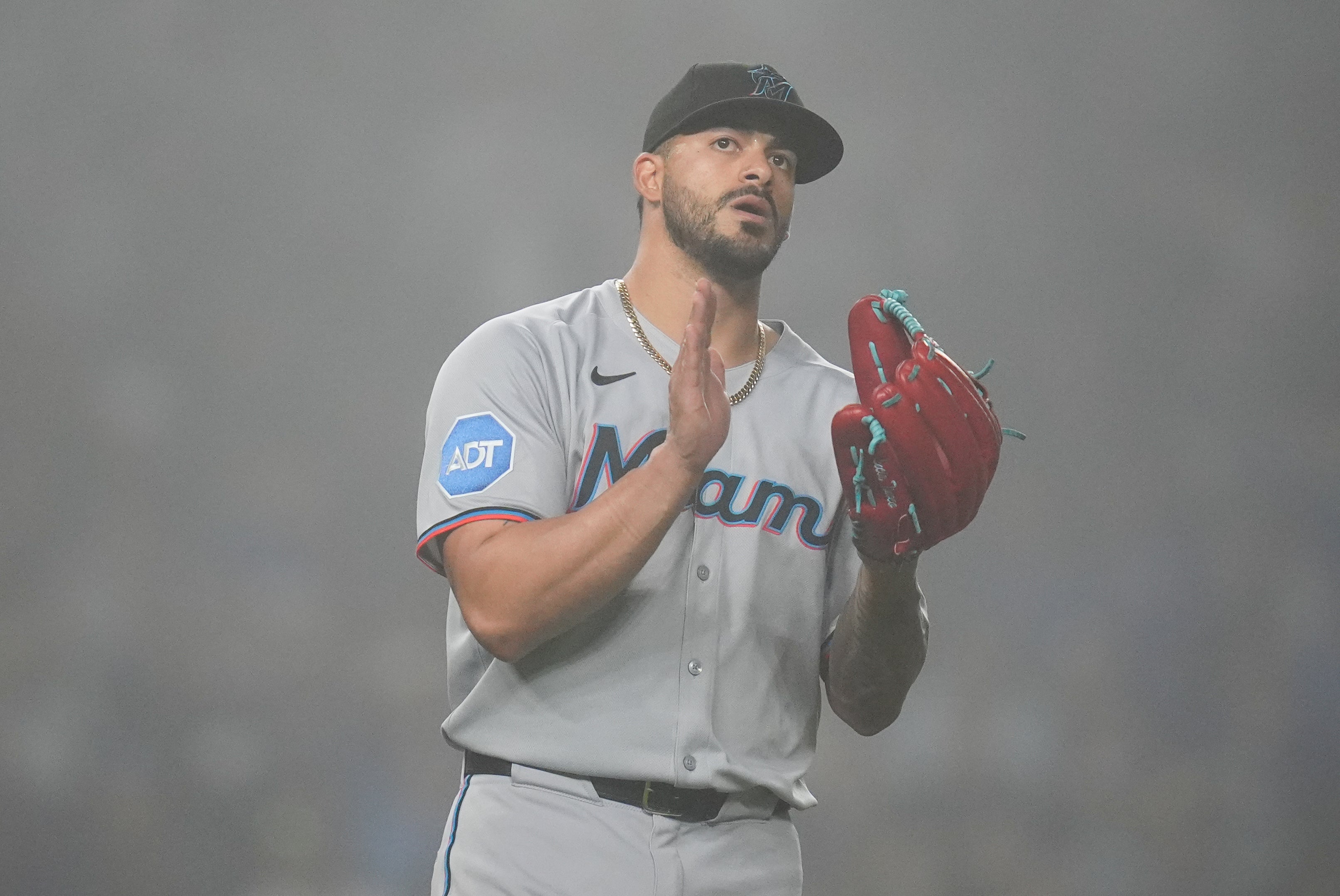 MARLINS-CACHORROS