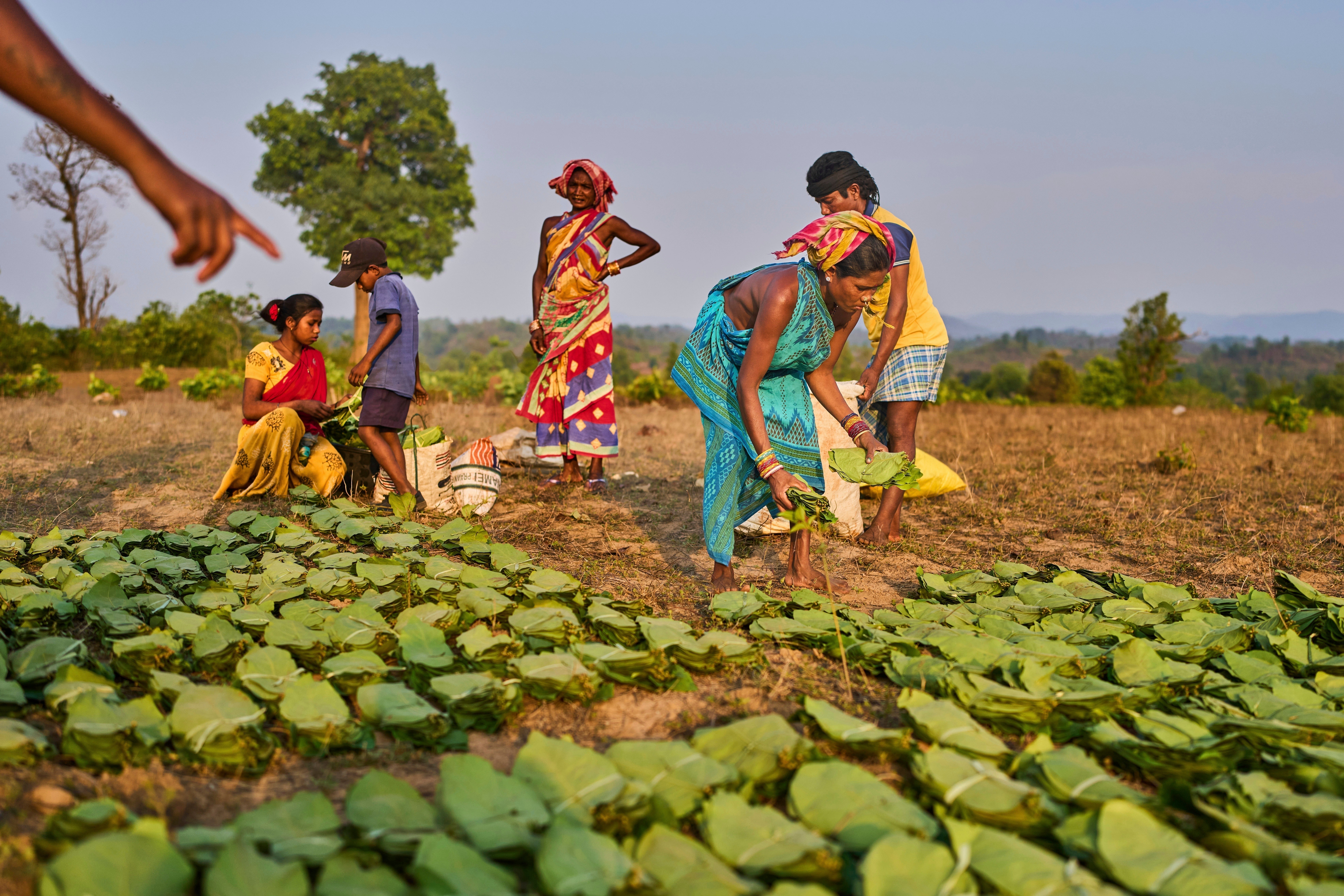INDIA-INDÍGENAS AGRICULTORAS