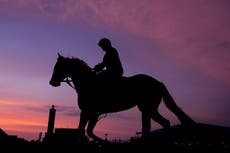 Journalism es el favorito del Preakness, pero tendencias recientes muestran que no será fácil