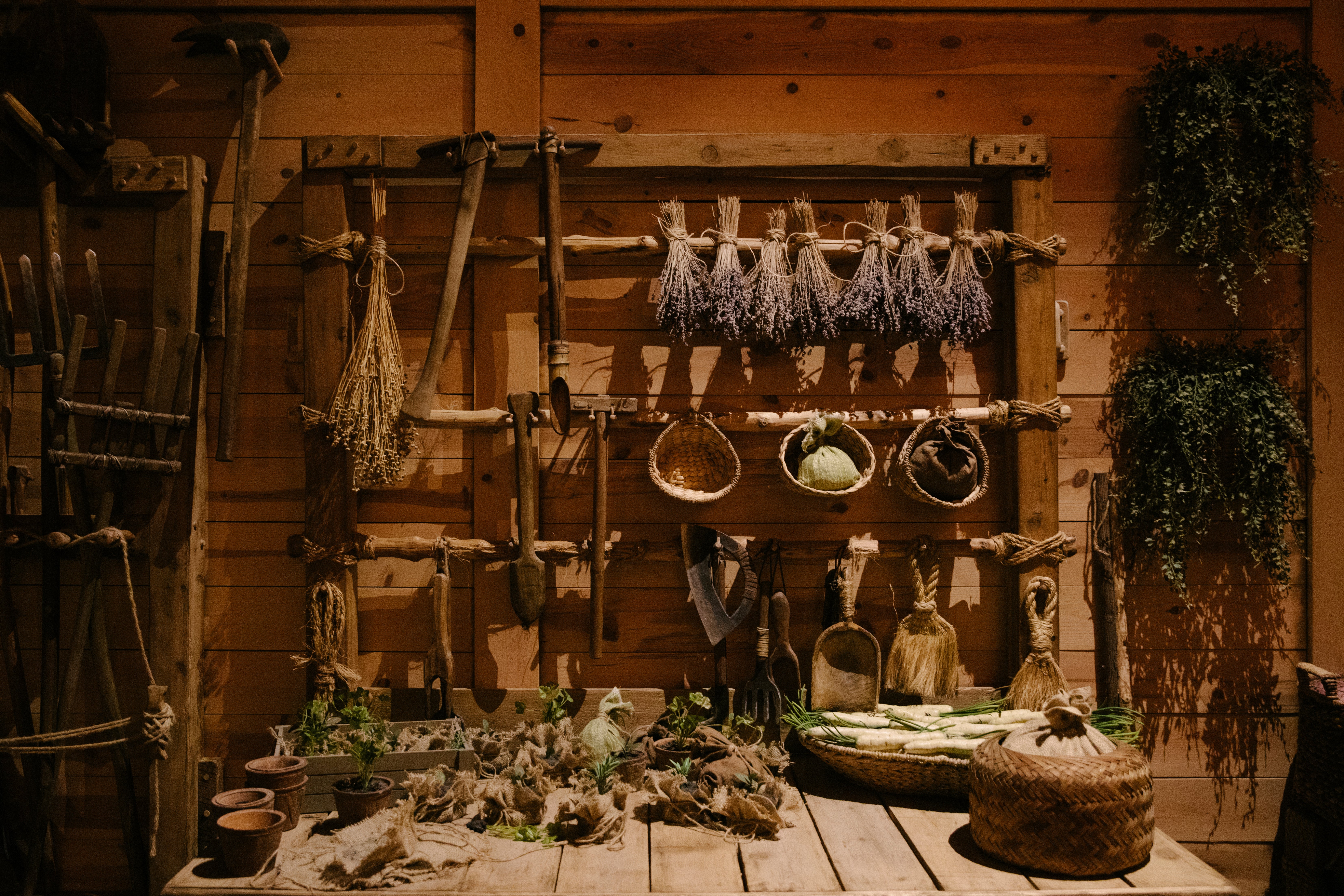 EEUU-CREACIONISMO-EXHIBICIÓN