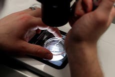 Trump revisa recomendaciones sobre política de FIV prometidas en orden ejecutiva