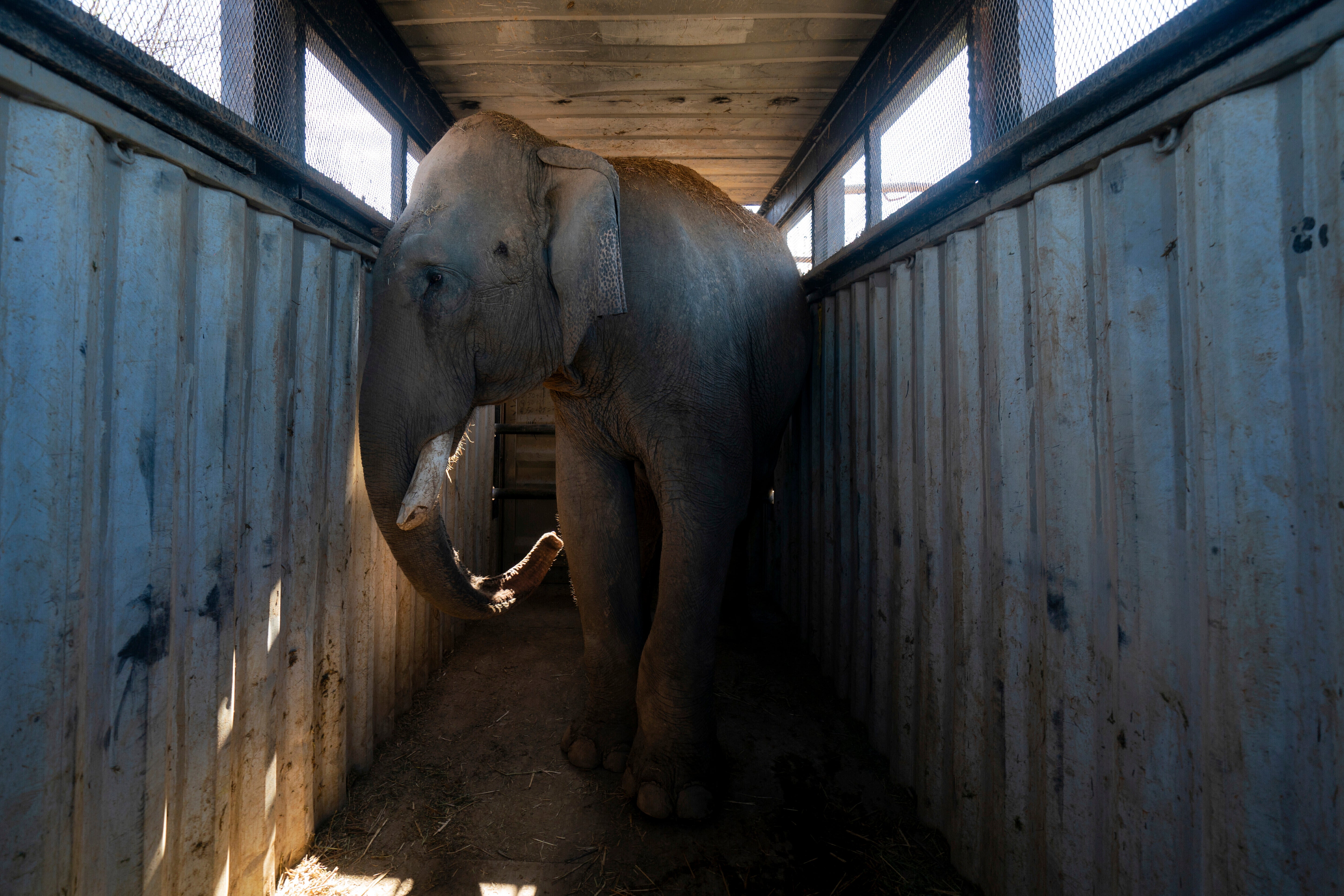 MÉXICO-VIOLENCIA-SANTUARIO ANIMAL