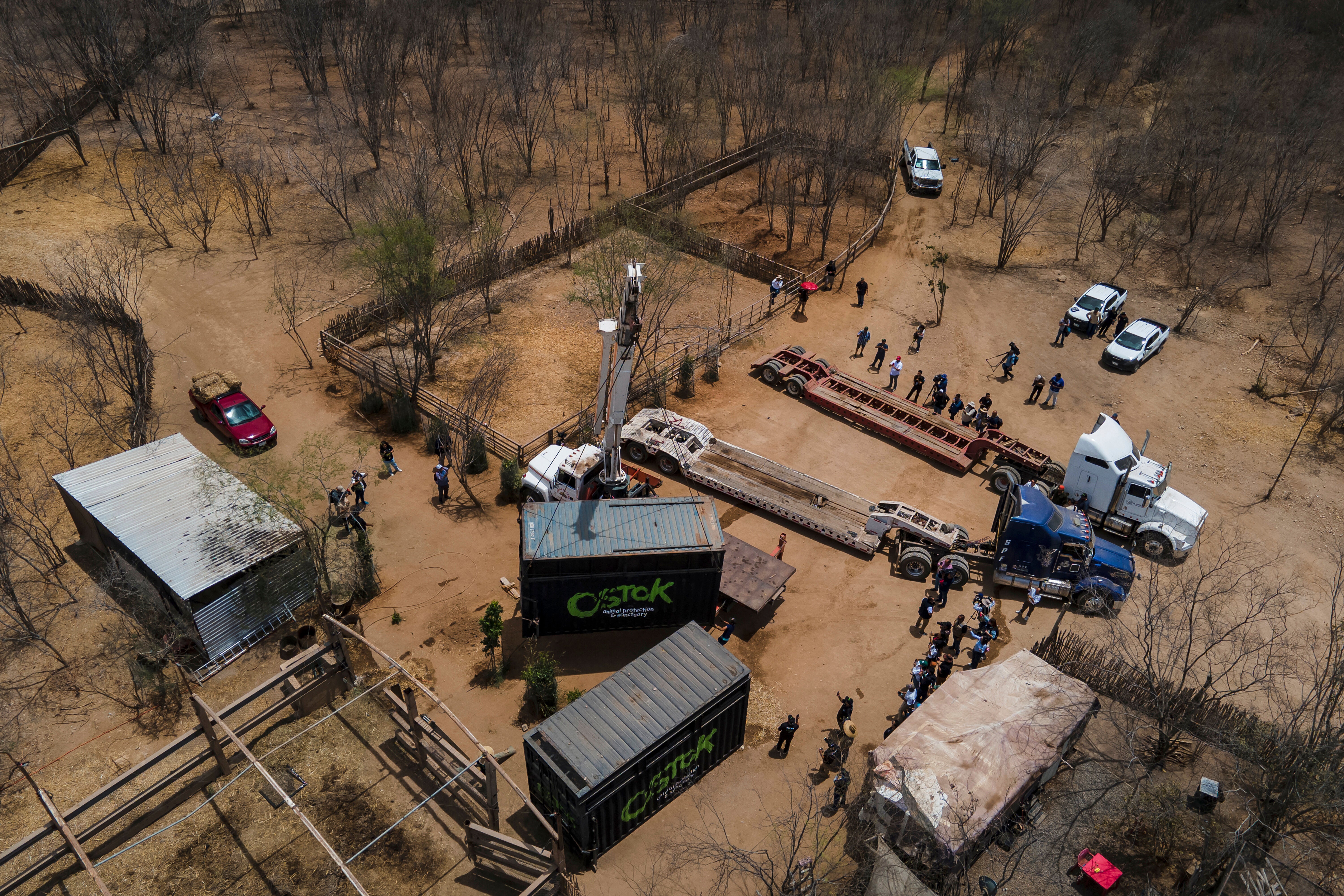 MÉXICO-VIOLENCIA-SANTUARIO ANIMAL
