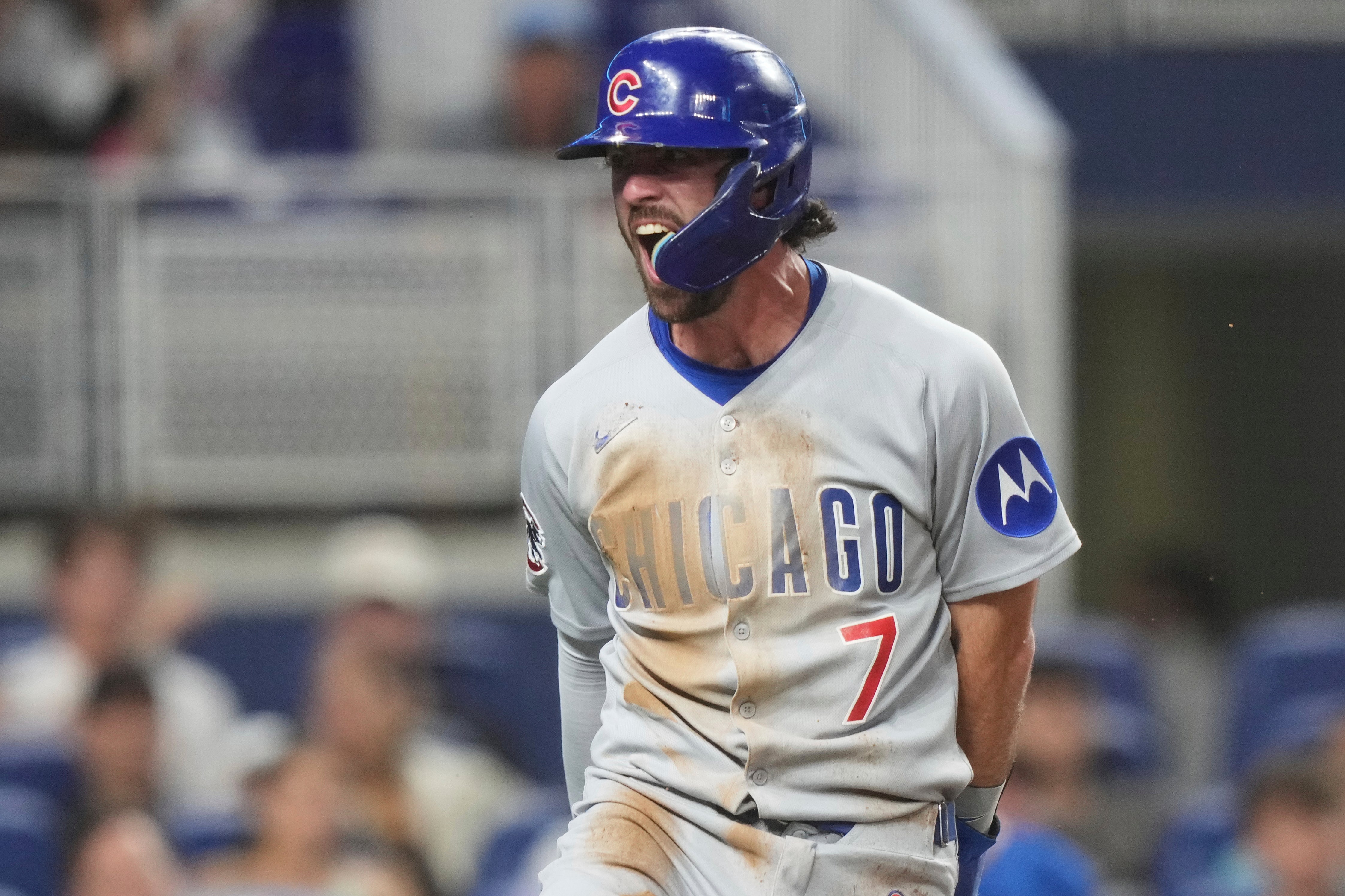 CACHORROS-MARLINS