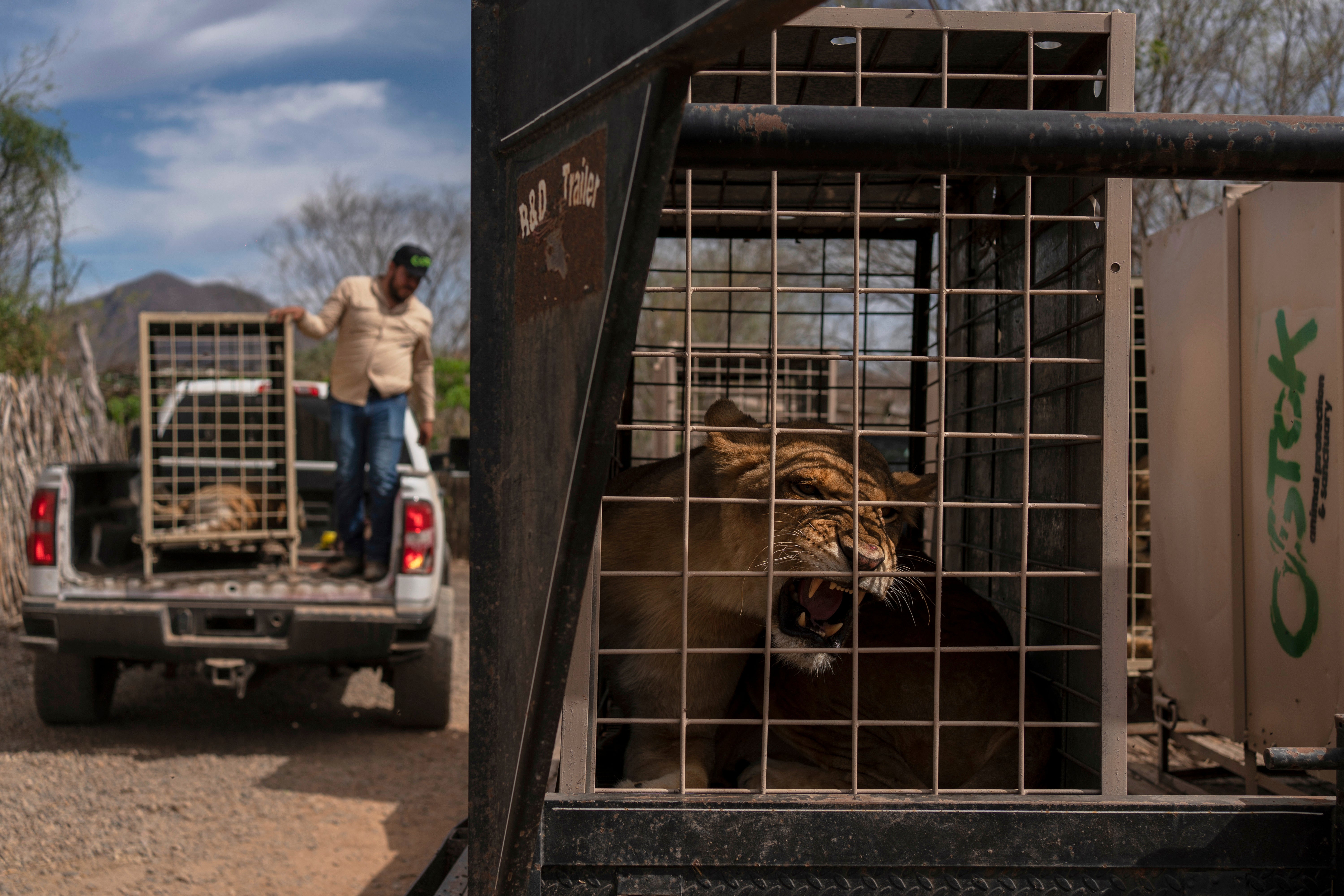 MÉXICO-VIOLENCIA-SANTUARIO ANIMAL