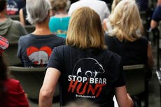Florida aprueba preliminarmente polémica caza de osos negros pese a fuerte oposición
