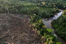 Corte de Perú falla a favor de los derechos territoriales del pueblo kichwa en la Amazonia