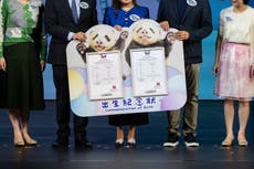 Los pandas bebés de Hong Kong por fin tienen nombres: Jia Jia y De De