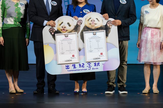 HONG KONG-PANDAS