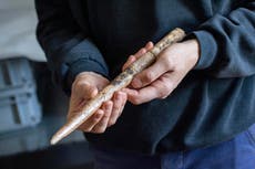 Herramientas más antiguas de huesos de ballena datan de hace 20.000 años, dicen científicos