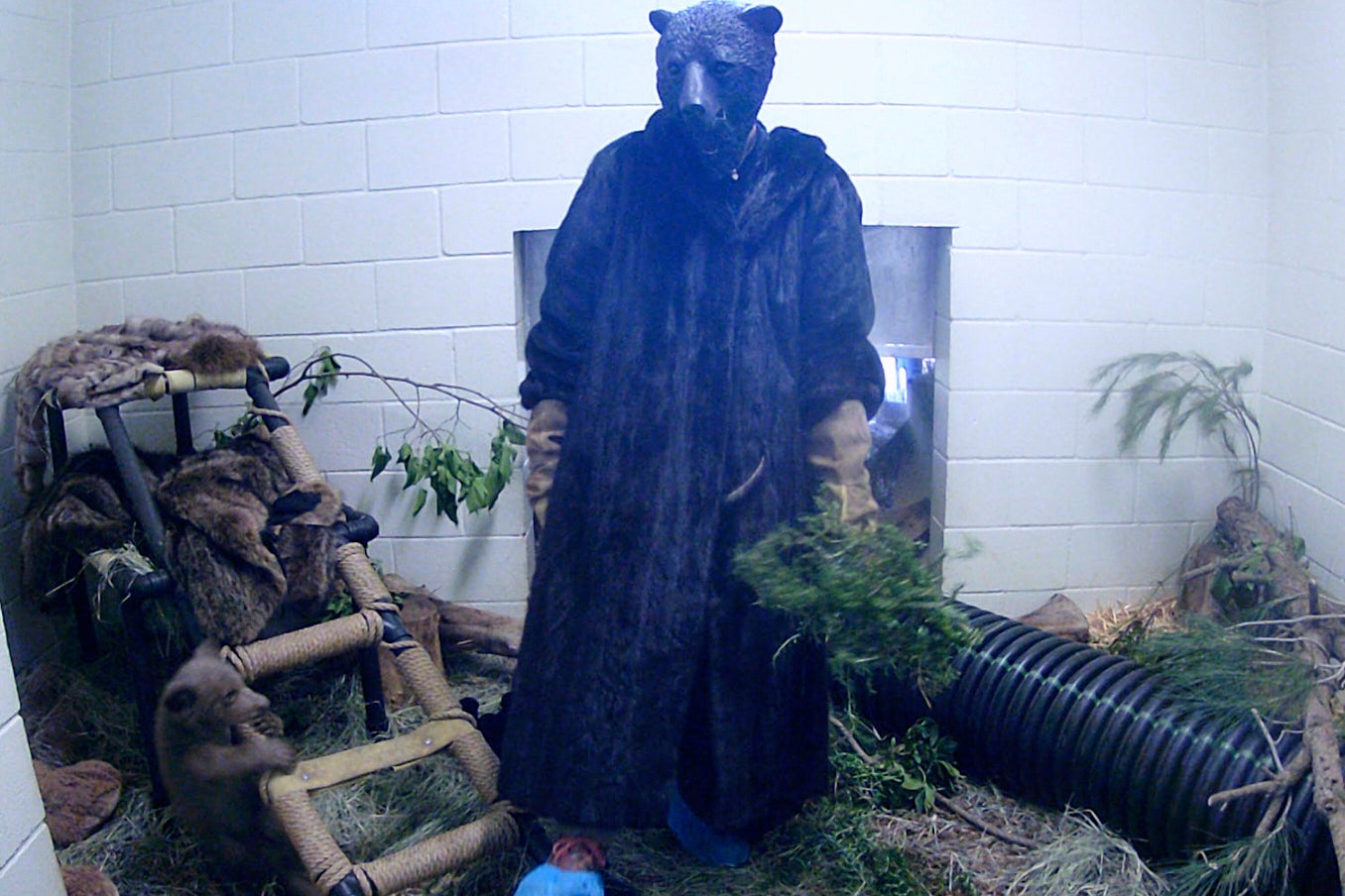 CALIFORNIA-OSO HUÉRFANO