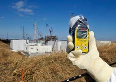 Utilizarán tierra ligeramente radiactiva de Fukushima en los jardines del primer ministro de Japón