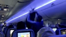 Vuelo de Delta retrasado porque dos palomas se colaron en un avión en Minneapolis