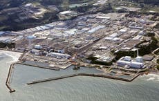 Japón dice que China reanudará importación de productos pesqueros que fue suspendida por Fukushima